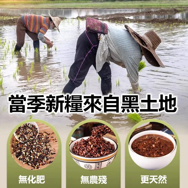 降三高七色糙米